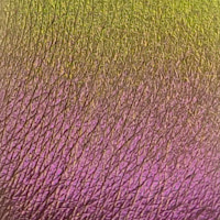 Refil Cień do powiek BERNOVICH GALAXY